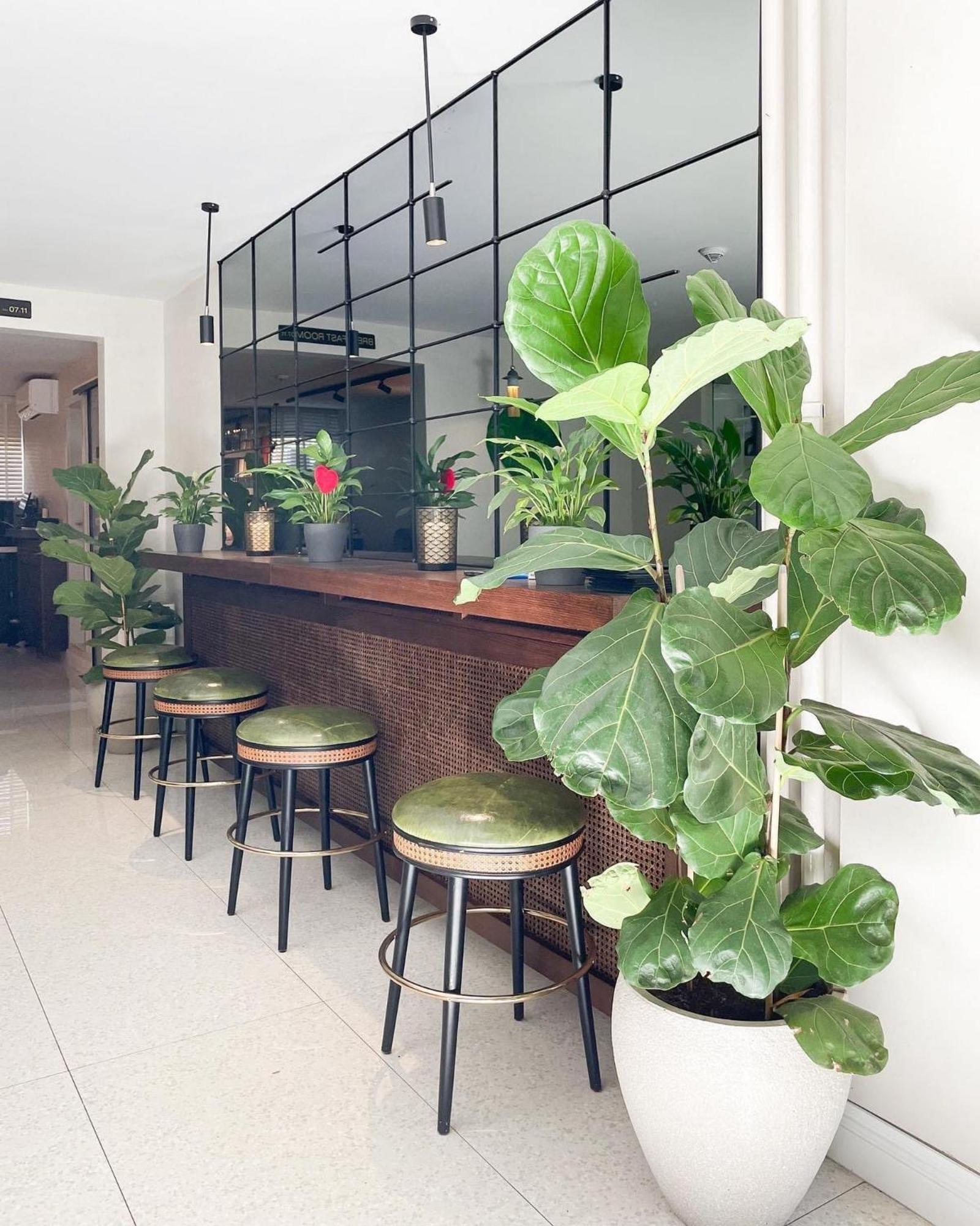 Hotel Botanica Beograd Eksteriør bilde